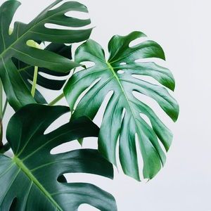 Meet your Posher, Hunter